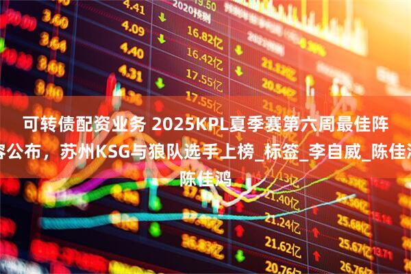 可转债配资业务 2025KPL夏季赛第六周最佳阵容公布,苏州KSG与狼队选手上榜_标签_李自威_陈佳鸿