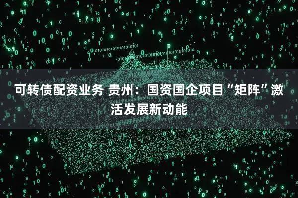 可转债配资业务 贵州:国资国企项目“矩阵”激活发展新动能