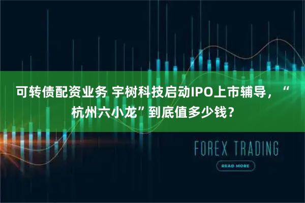 可转债配资业务 宇树科技启动IPO上市辅导，“杭州六小龙”到底值多少钱？